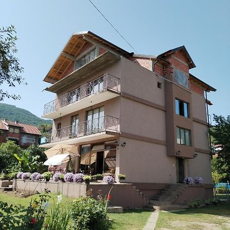 Guest House Dimitrije ニシュカ・バニャ エクステリア 写真
