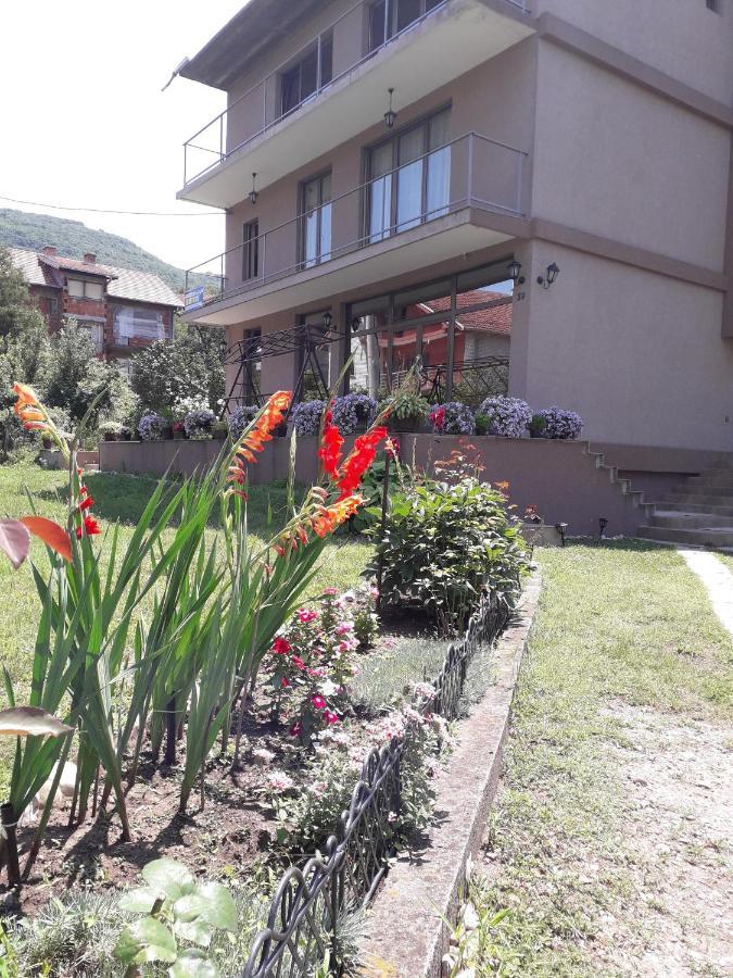 Guest House Dimitrije ニシュカ・バニャ エクステリア 写真