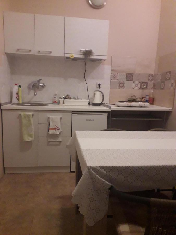 Guest House Dimitrije ニシュカ・バニャ エクステリア 写真