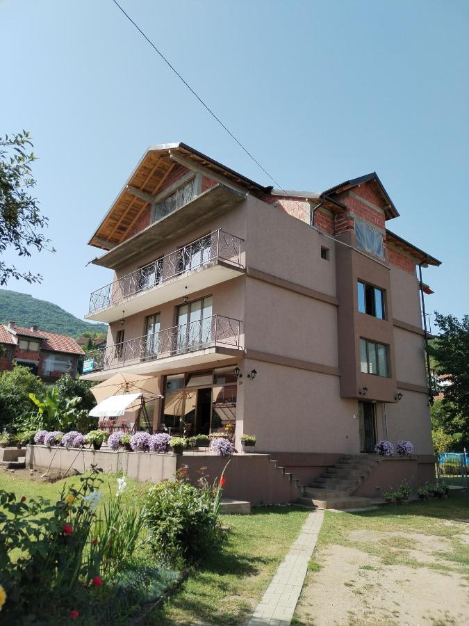 Guest House Dimitrije ニシュカ・バニャ エクステリア 写真