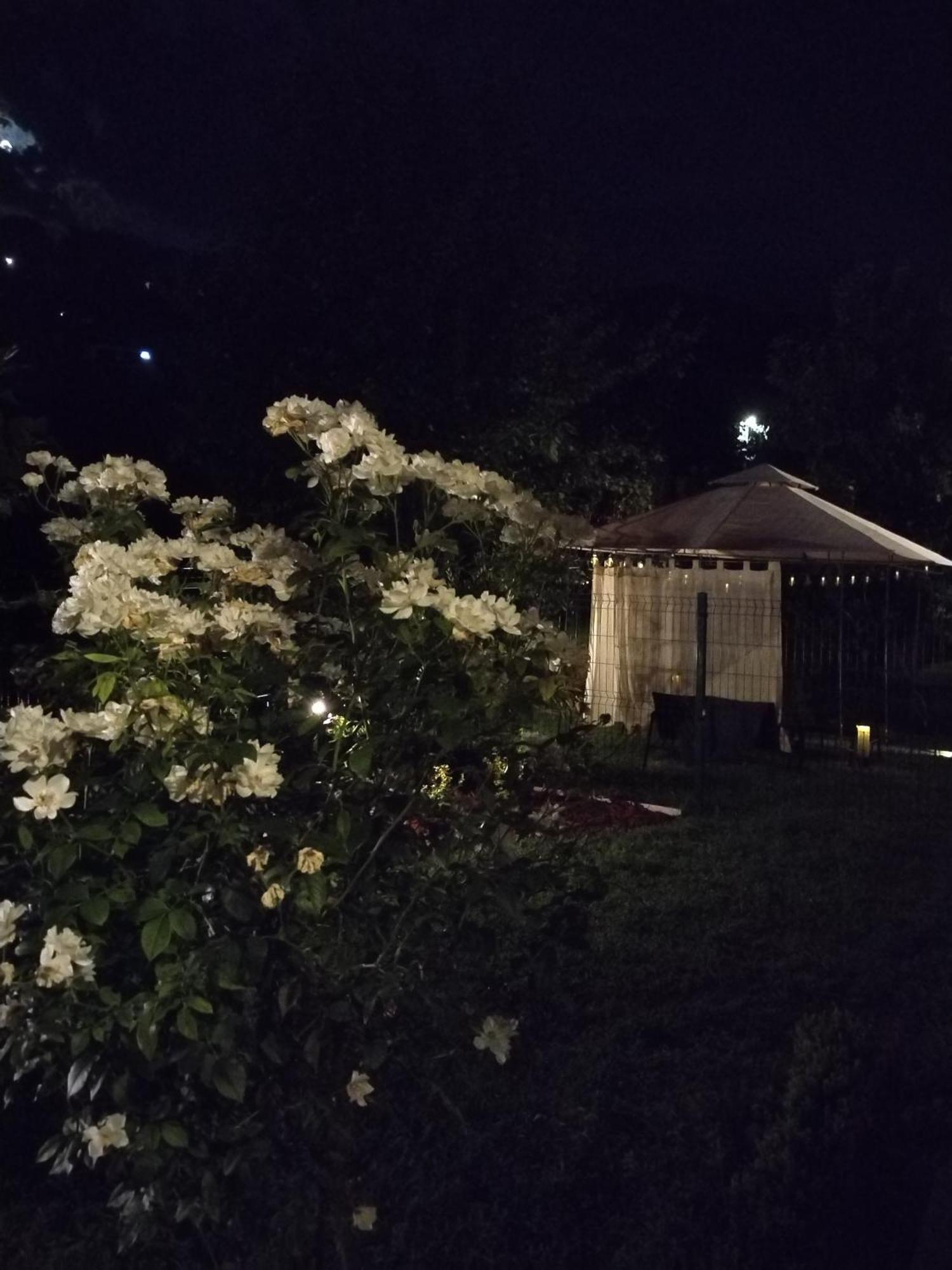 Guest House Dimitrije ニシュカ・バニャ エクステリア 写真