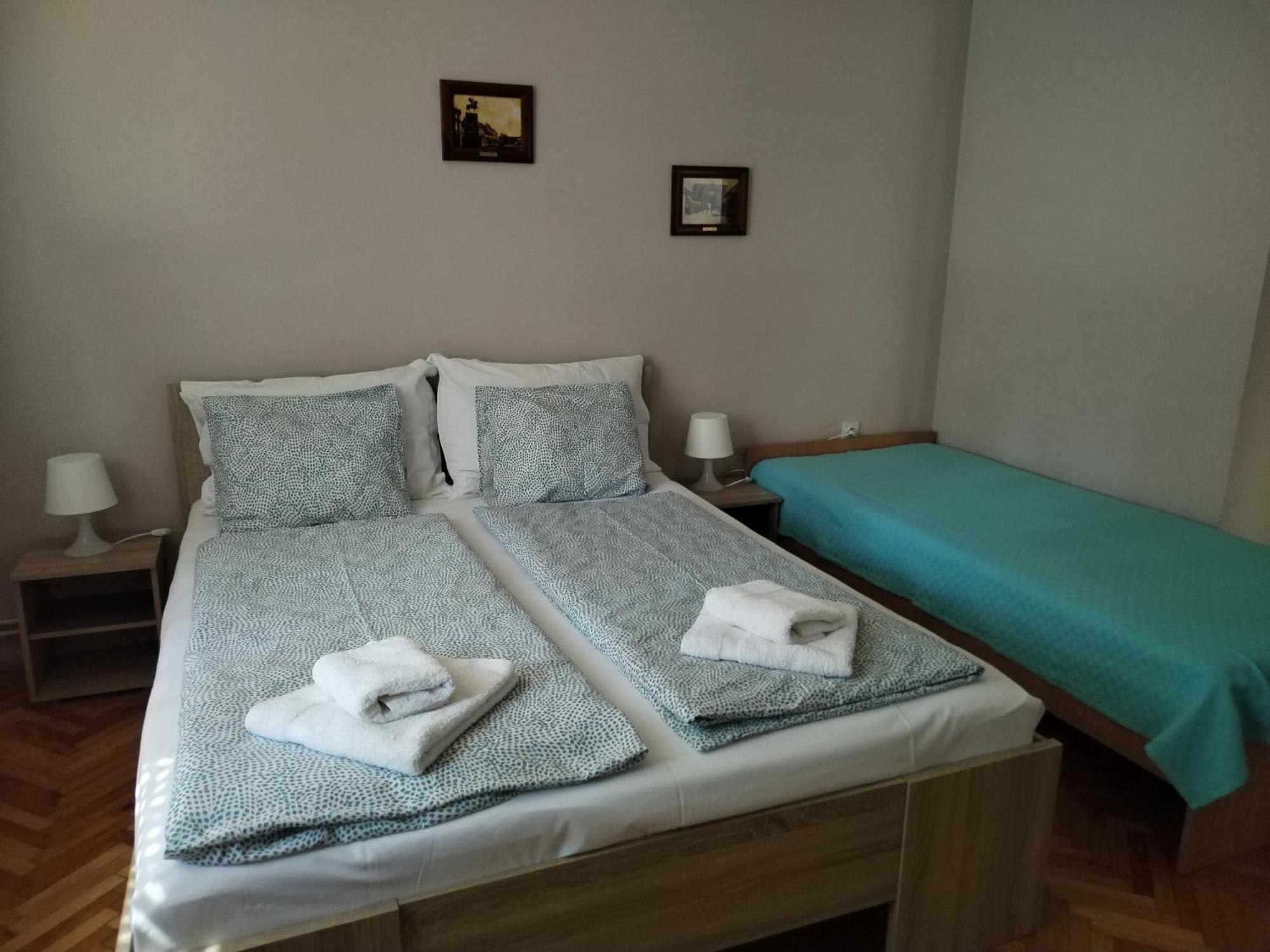 Guest House Dimitrije ニシュカ・バニャ エクステリア 写真