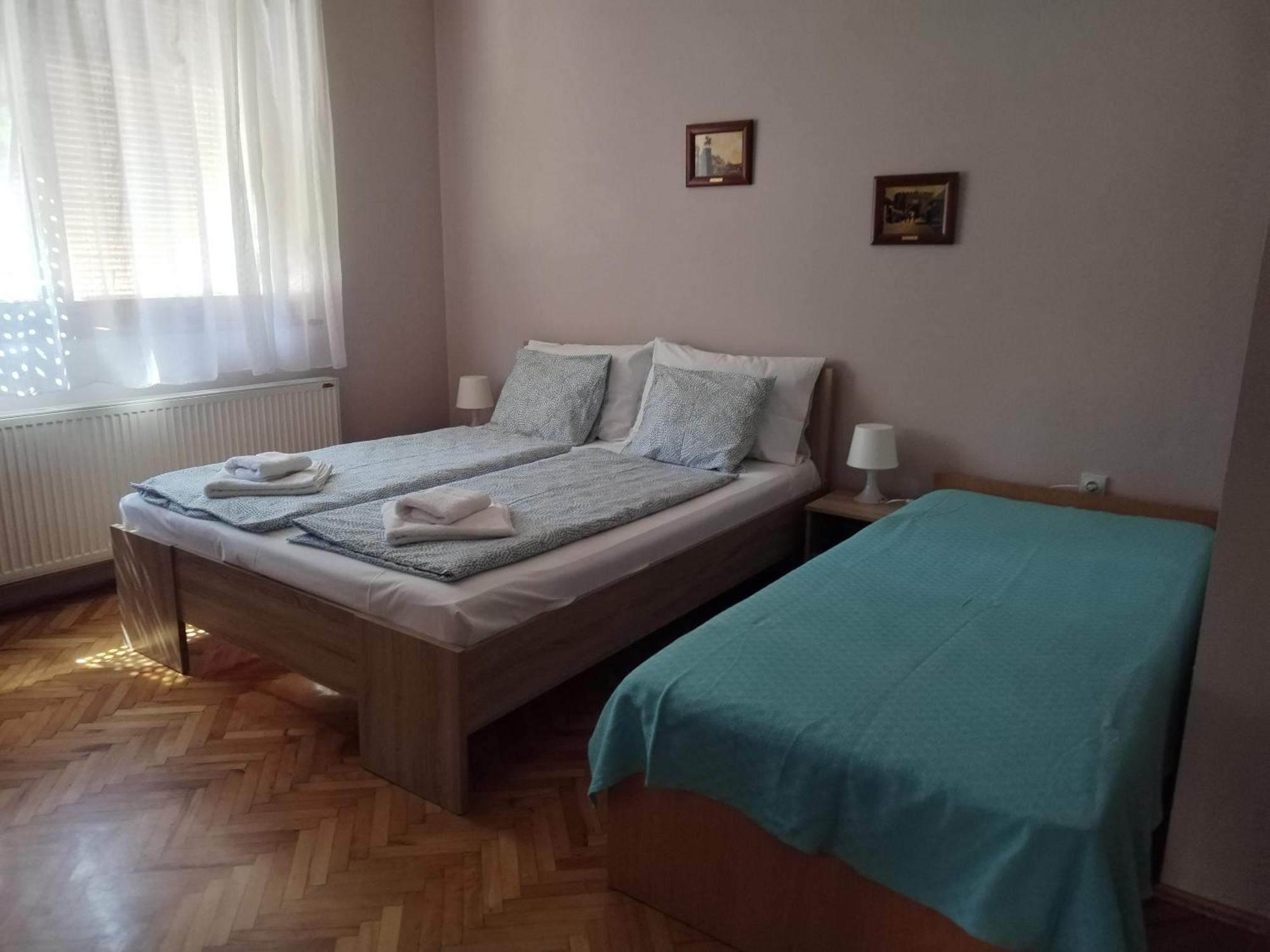 Guest House Dimitrije ニシュカ・バニャ エクステリア 写真