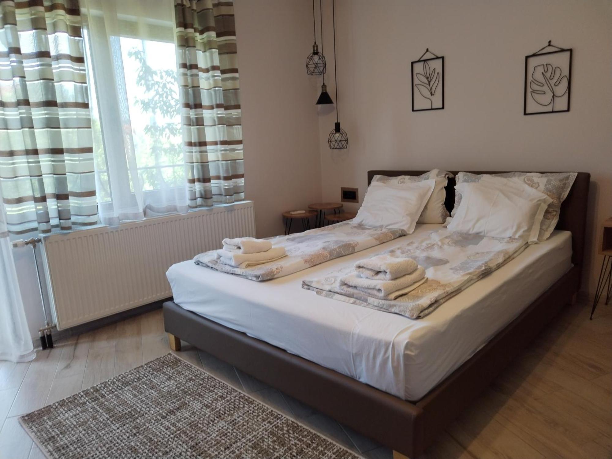 Guest House Dimitrije ニシュカ・バニャ エクステリア 写真