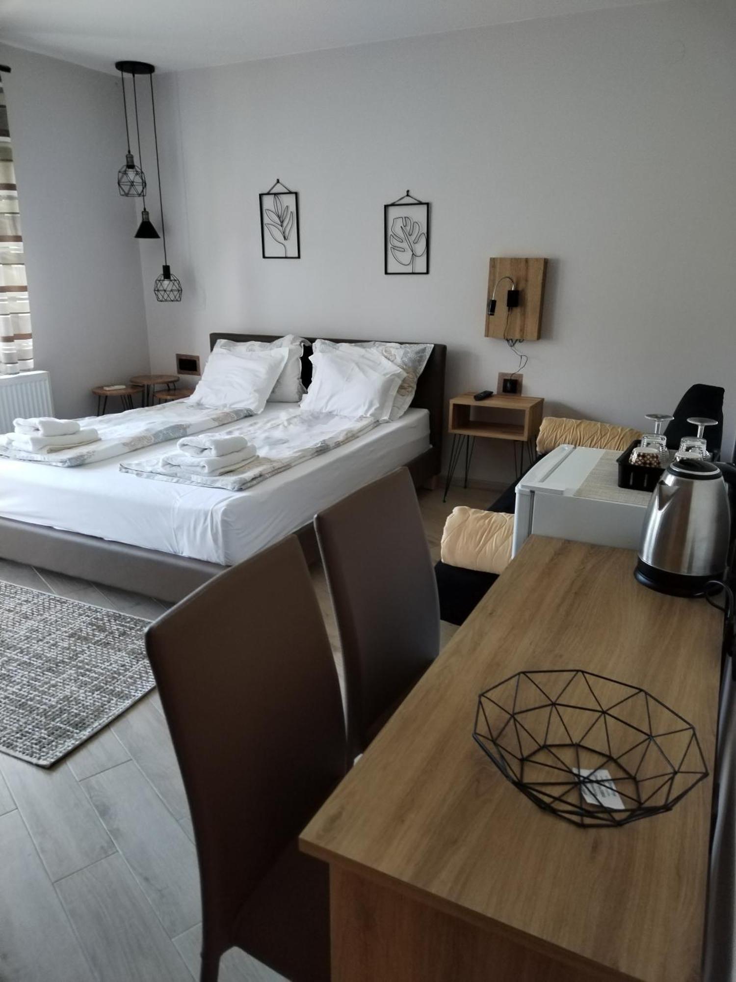 Guest House Dimitrije ニシュカ・バニャ エクステリア 写真