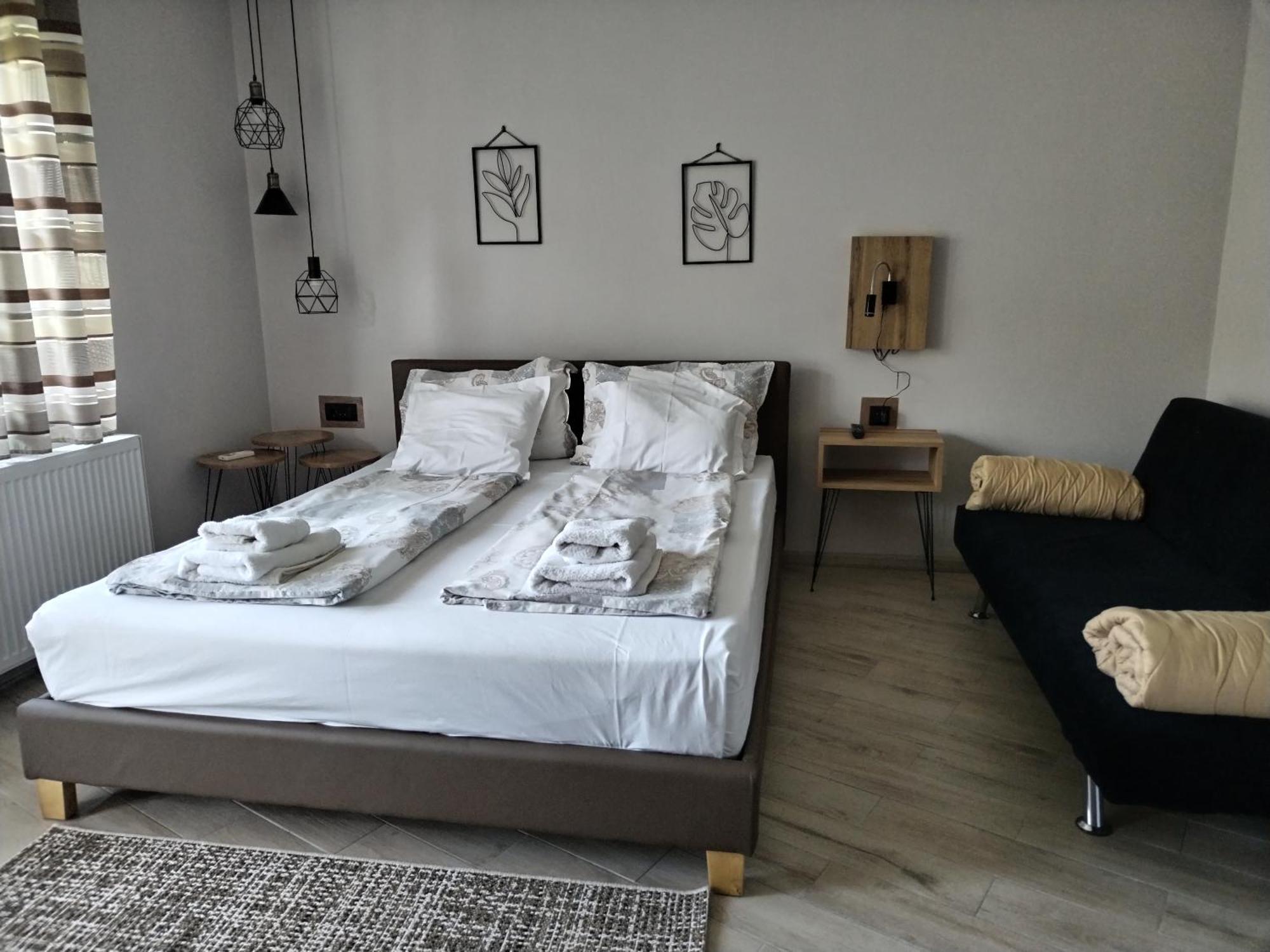 Guest House Dimitrije ニシュカ・バニャ エクステリア 写真