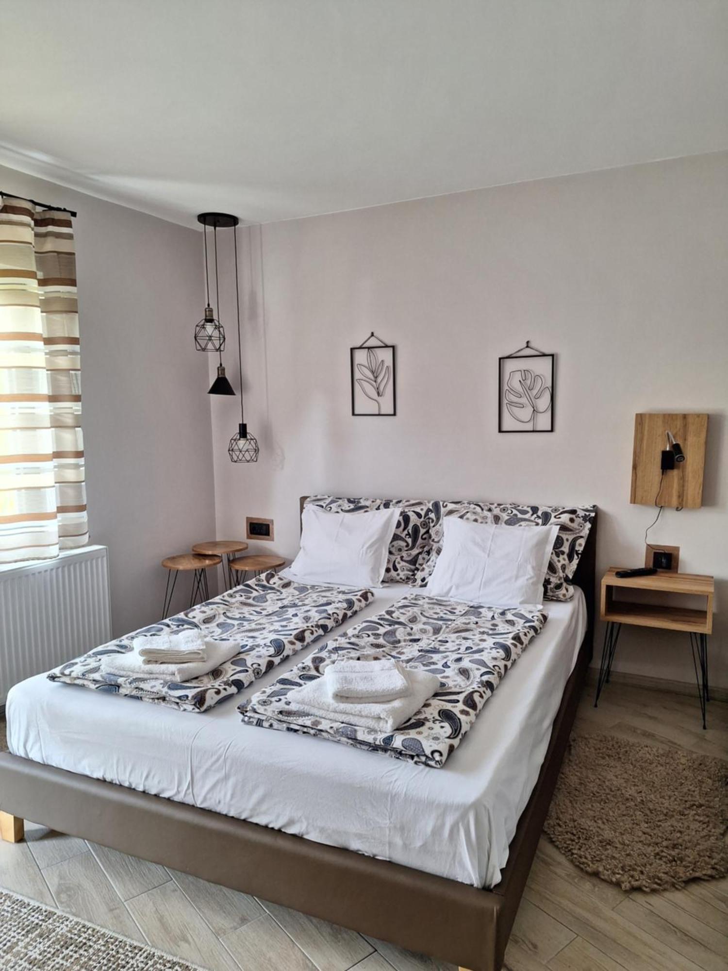 Guest House Dimitrije ニシュカ・バニャ エクステリア 写真