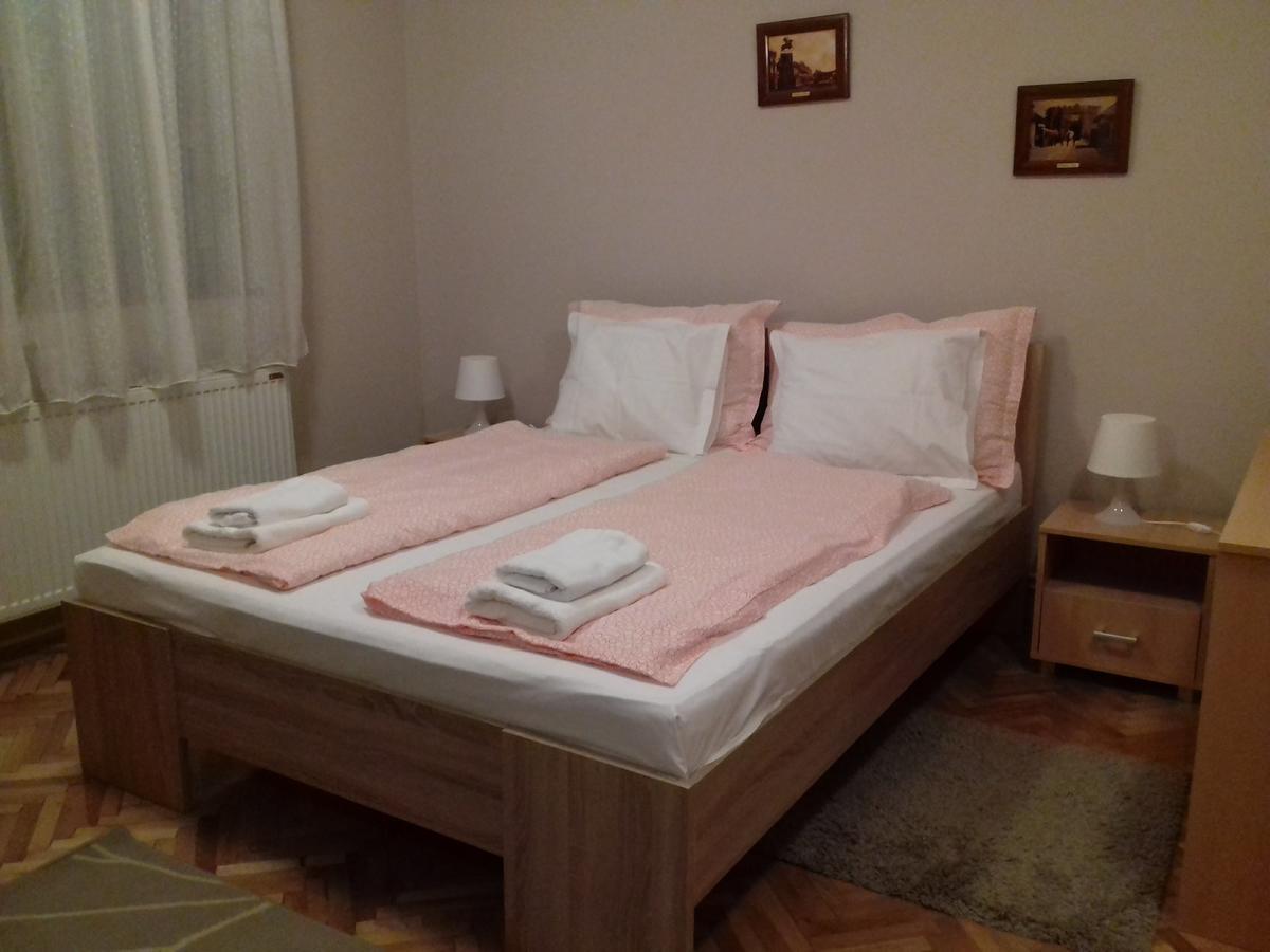 Guest House Dimitrije ニシュカ・バニャ エクステリア 写真
