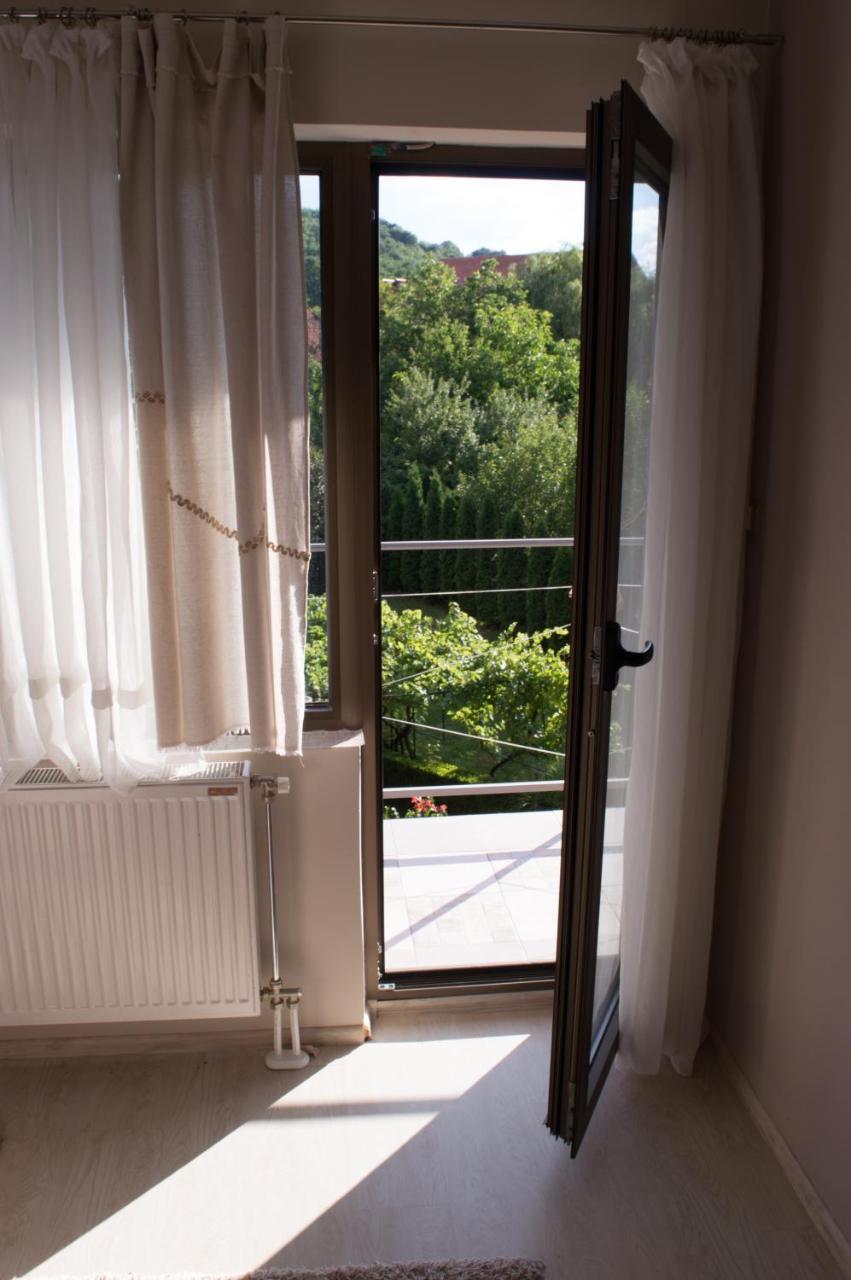 Guest House Dimitrije ニシュカ・バニャ エクステリア 写真