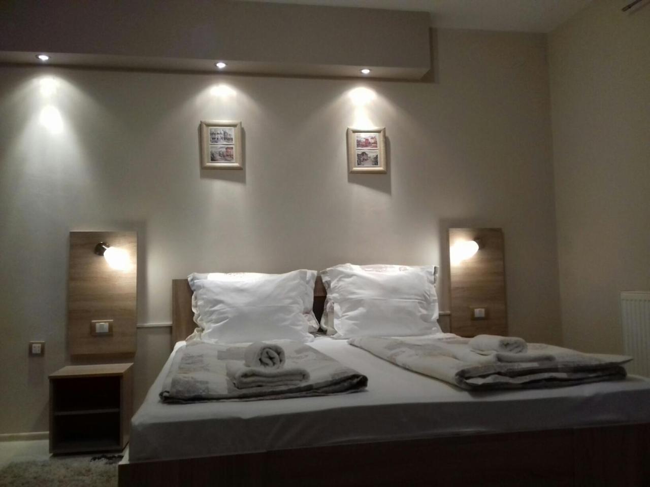 Guest House Dimitrije ニシュカ・バニャ エクステリア 写真