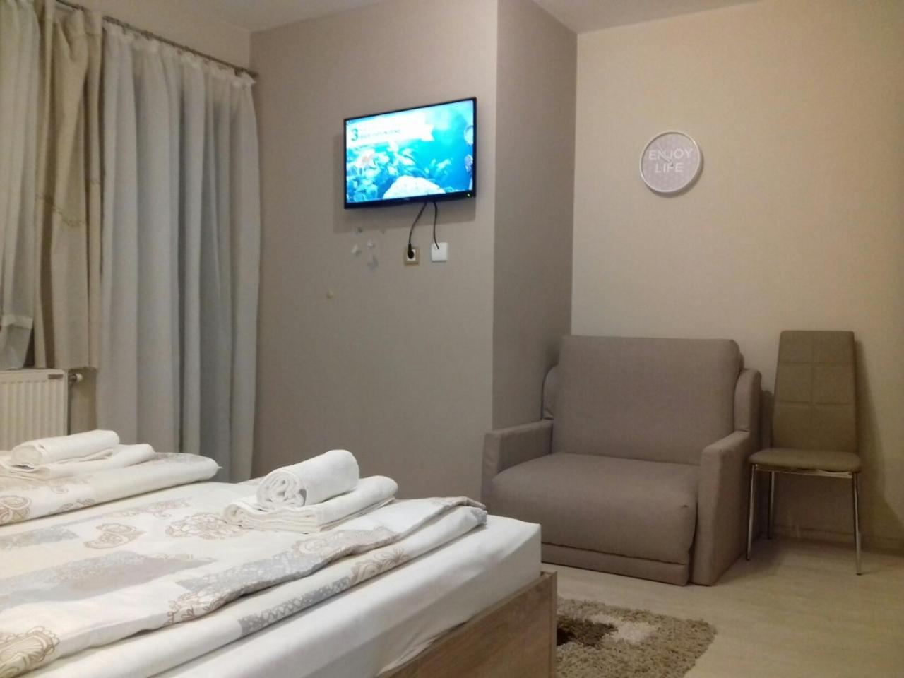 Guest House Dimitrije ニシュカ・バニャ エクステリア 写真